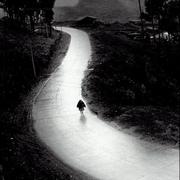 Camino 2 Camino 2